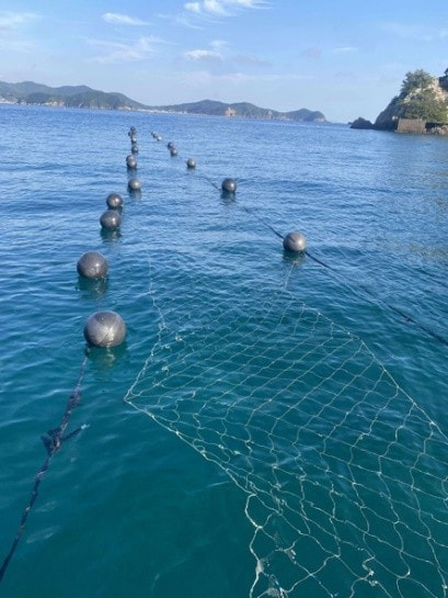 海と共に生きる町、三重県南伊勢町で“養殖藻場”の実証実験を実施中～合同会社シーベジタブルと連携し、環境再生と地域資源の活用を目指す～